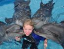 Развлечение и лечение – где поплавать с дельфинами в Крыму?