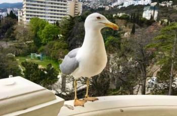 Семейные апартаменты с кухней