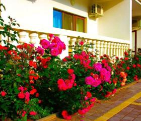 Отель Versal / Версаль