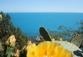 Дом в Береговом (Кастрополе)