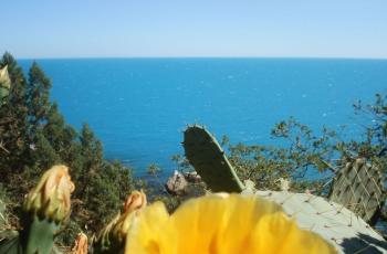 Дом в Береговом (Кастрополе)