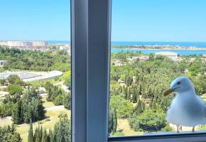 Гостиница Номера Парк-Отель