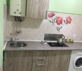 1к. квартира в Приморском