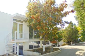 №6. Студия 1-комнатная с кухней на 2-4 человека.