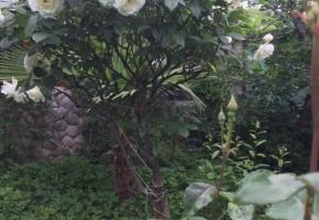 Коттедж в Алуште